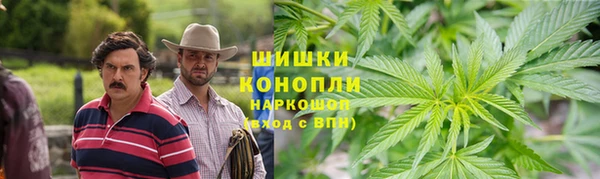 метадон Зеленодольск