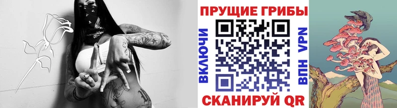 Галлюциногенные грибы GOLDEN TEACHER  Купить закладки  Тихорецк 