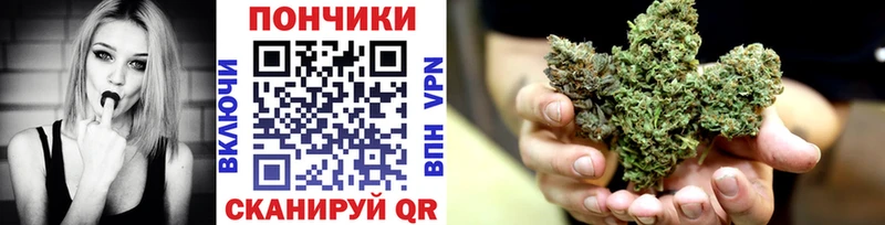 Бошки Шишки ГИДРОПОН  Купить  Тихорецк 